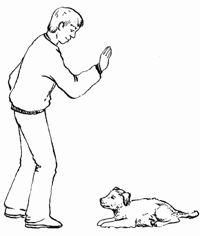 Гриффоны - i_034.png