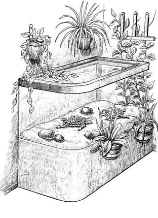 Террариум. Устройство и дизайн - _12.jpg