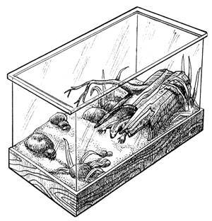 Террариум. Устройство и дизайн - _10.jpg