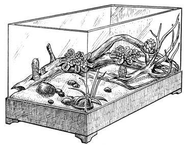 Террариум. Устройство и дизайн - _11.jpg