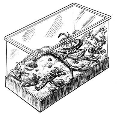 Террариум. Устройство и дизайн - _5.jpg