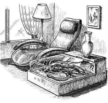 Террариум. Устройство и дизайн - _7.jpg