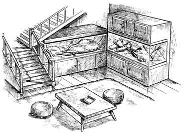 Террариум. Устройство и дизайн - _8.jpg