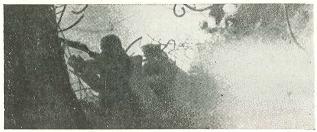 Город гнева - i_002.jpg