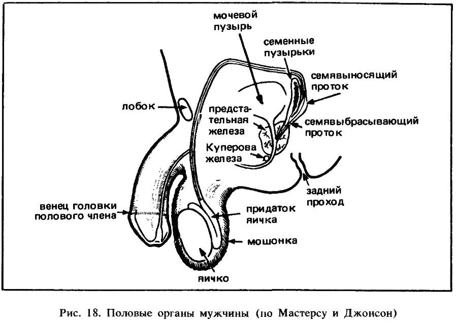 Искусство любви - _19.png