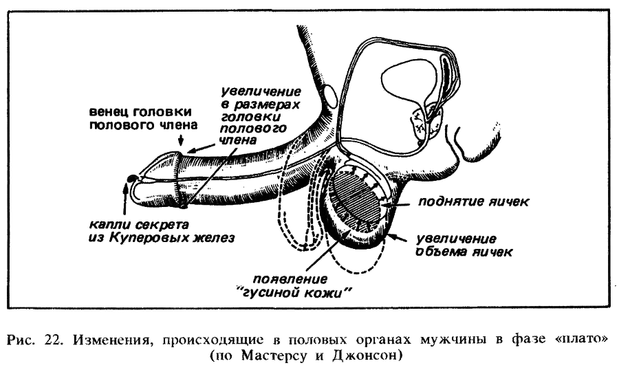 Искусство любви - _23.png