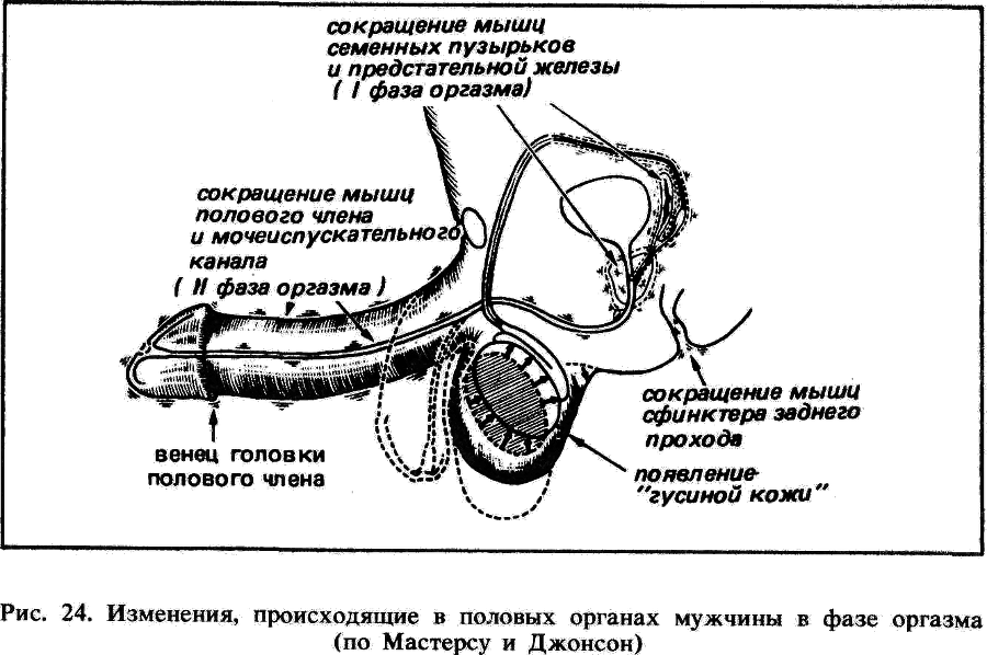 Искусство любви - _25.png