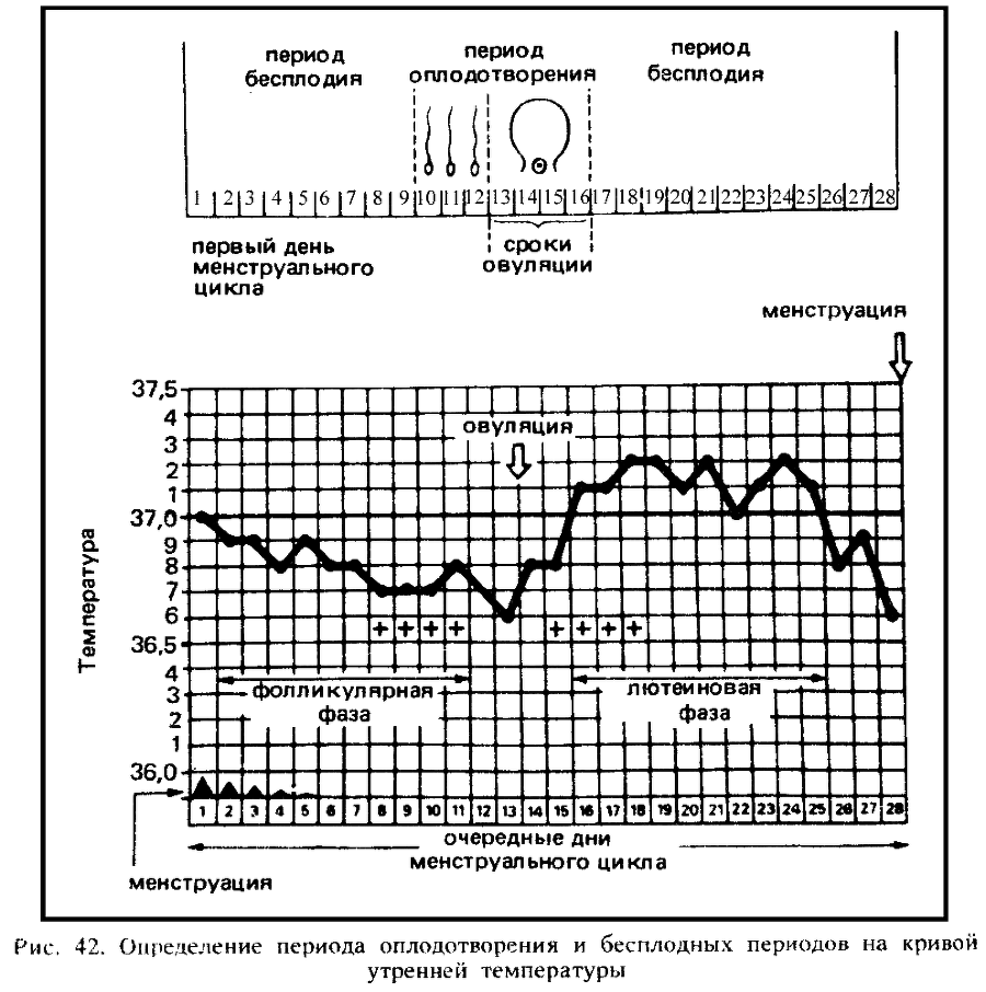 Искусство любви - _44.png