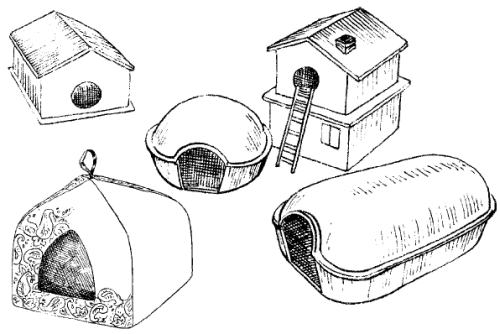 Крысы - _19.png