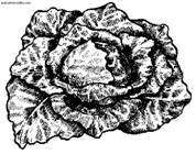 Сбор и хранение урожая - i_001.jpg