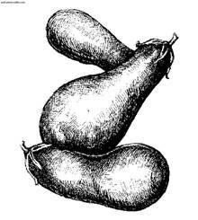 Сбор и хранение урожая - i_007.jpg