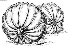 Сбор и хранение урожая - i_009.jpg