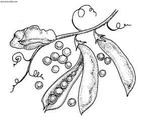 Сбор и хранение урожая - i_013.jpg