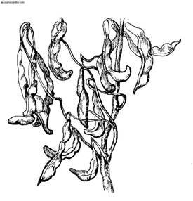 Сбор и хранение урожая - i_014.jpg