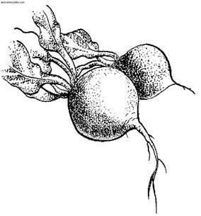 Сбор и хранение урожая - i_015.jpg