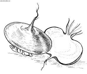 Сбор и хранение урожая - i_016.jpg