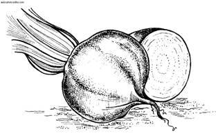 Сбор и хранение урожая - i_017.jpg