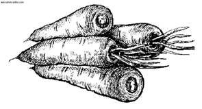 Сбор и хранение урожая - i_019.jpg