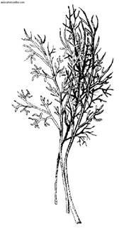 Сбор и хранение урожая - i_021.jpg