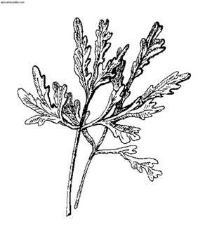 Сбор и хранение урожая - i_022.jpg