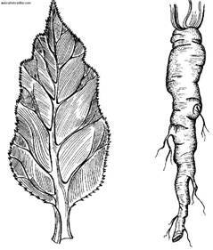 Сбор и хранение урожая - i_023.jpg