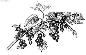 Сбор и хранение урожая - i_034.jpg