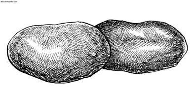 Сбор и хранение урожая - i_035.jpg