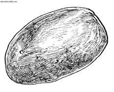 Сбор и хранение урожая - i_036.jpg