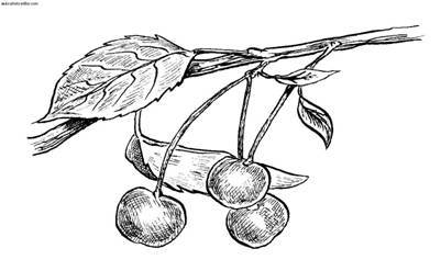 Сбор и хранение урожая - i_037.jpg