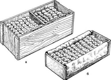Сбор и хранение урожая - i_056.jpg
