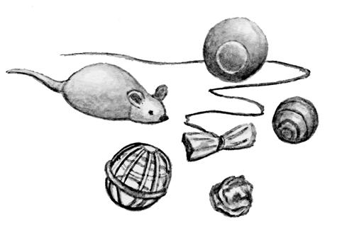 Сиамские кошки - pic_41.jpg