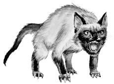 Сиамские кошки - pic_60.jpg