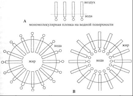 Скрытые связи - doc2fb_image_02000002.jpg