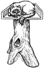 Лечение кошек - i_019.jpg