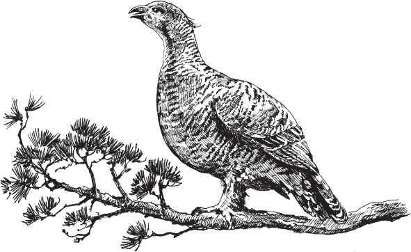 Добрые люди - i_014.jpg