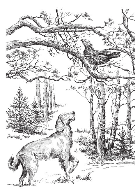 Добрые люди - i_015.jpg