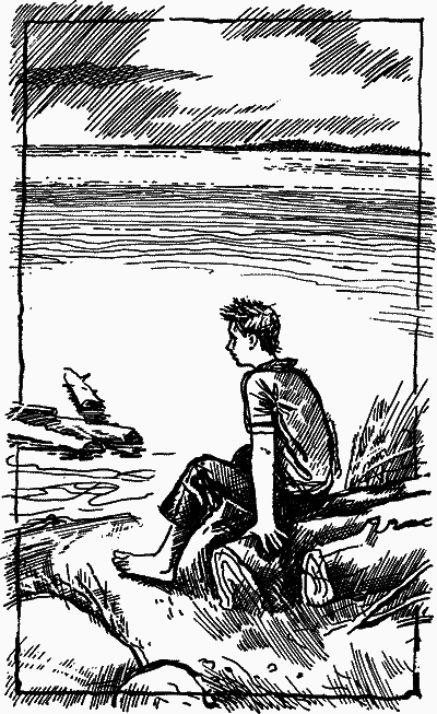 Душистый клевер Черной Шалги - nonjpegpng__29.png