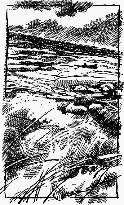 Сваня - nonjpegpng__4.png