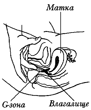 Любовь и ваше здоровье - i_002.png