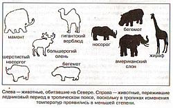 Антропологический детектив. Боги, люди, обезьяны... - i_010.jpg