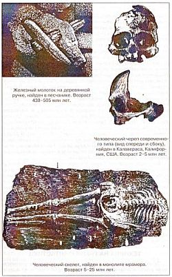 Антропологический детектив. Боги, люди, обезьяны... - i_025.jpg