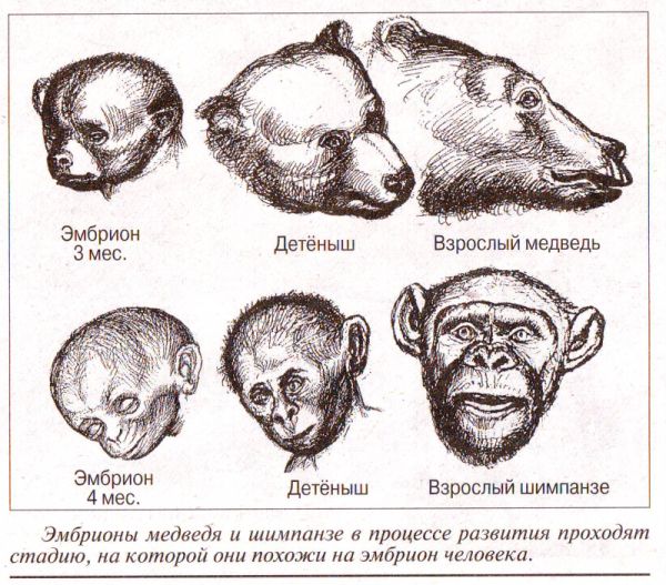 Интервью - i_002.jpg