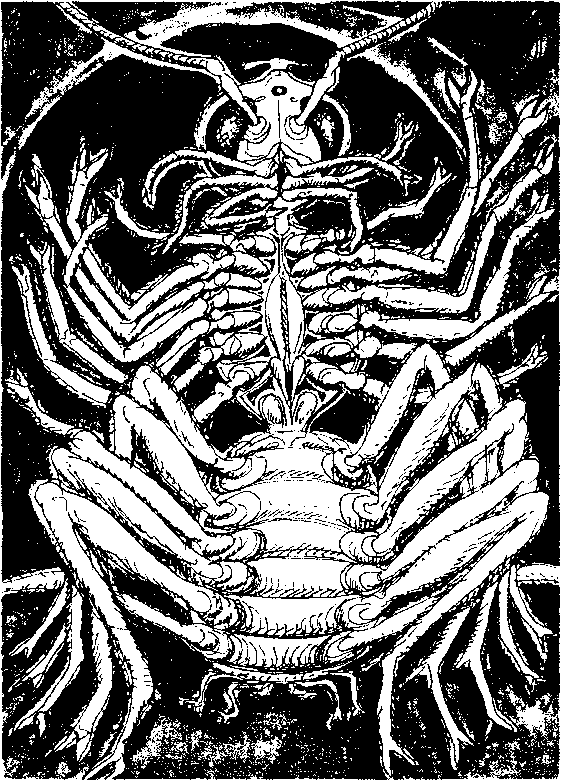 Тайна многоруких богов - i_020.png