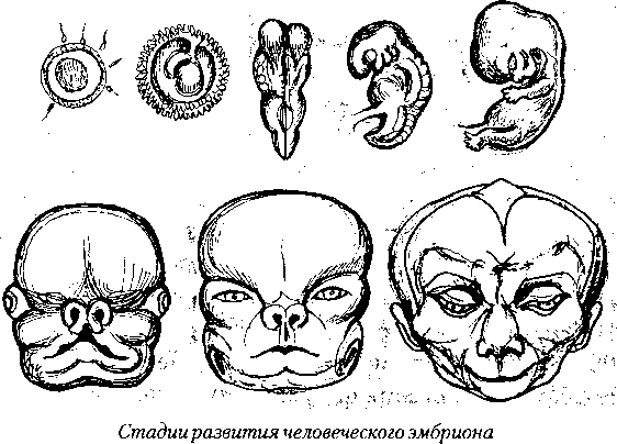 Тайна многоруких богов - i_024.png