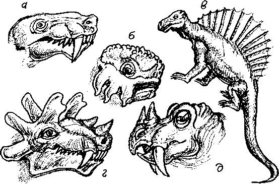 Тайна многоруких богов - i_025.png