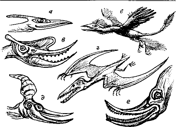 Тайна многоруких богов - i_027.png