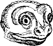 Тайна многоруких богов - i_046.png