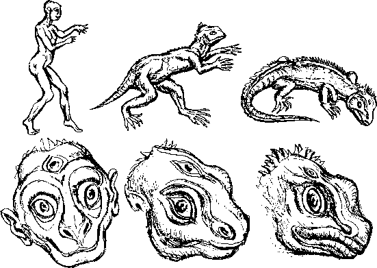 Тайна многоруких богов - i_052.png