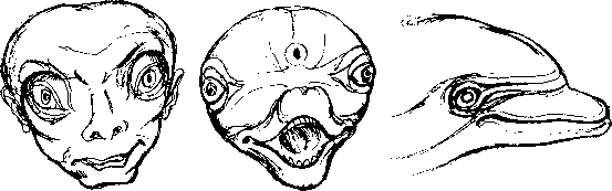 Тайна многоруких богов - i_072.png