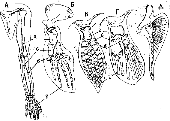 Тайна многоруких богов - i_073.png